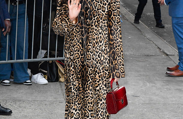 Anne Hathaway Is Wearing the Leopard Coat of My Dreams – Go Fug Yourself
