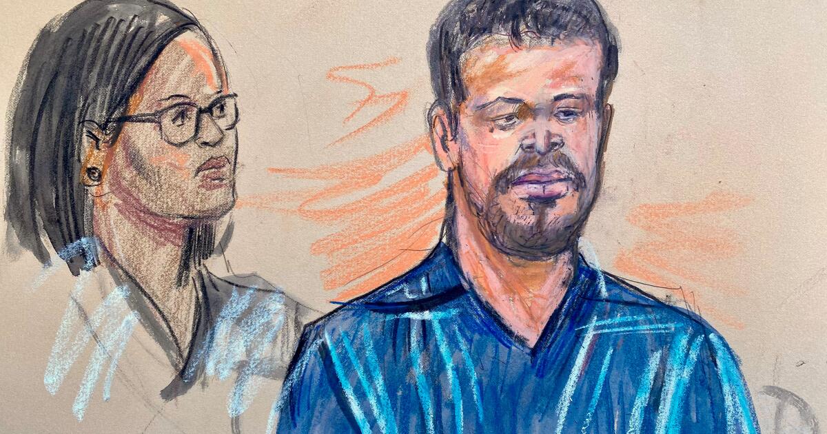 Cole Tomas Allen, Torrance man accused of trying to kill Trump at press gala, to remain jailed until trial