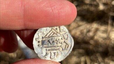 Norway’s largest-ever trove of Viking Age coins discovered by metal detectorists: “Historic find”