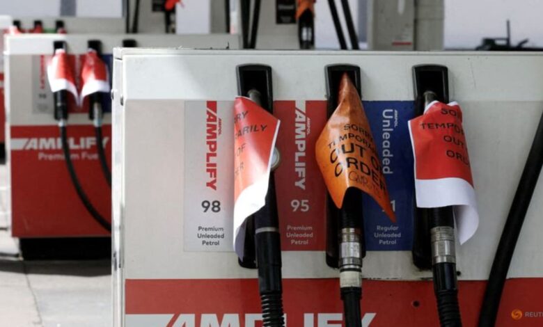 Oil prices trim gains after UAE exits OPEC, OPEC+