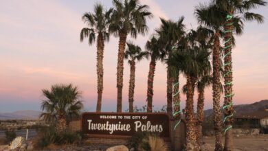 Vegas company abandons plans for luxury resort near Joshua Tree National Park