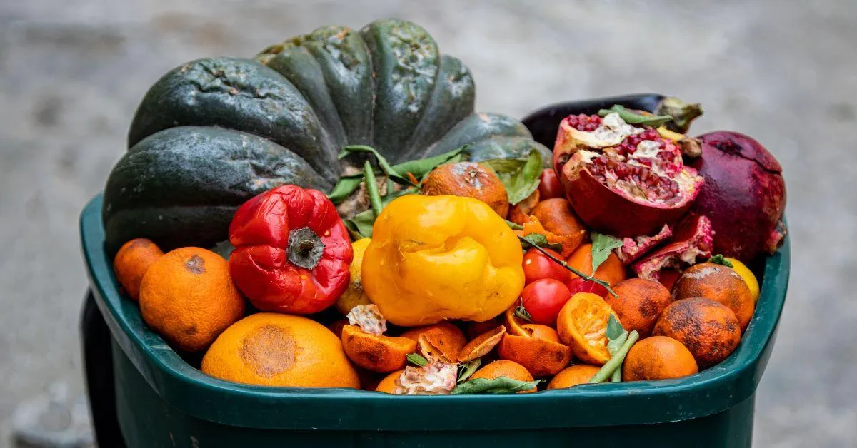 19-YO’s Tech ‘Mimics Nature’ to Keep Fruits, Veggies Fresh Without Refrigeration