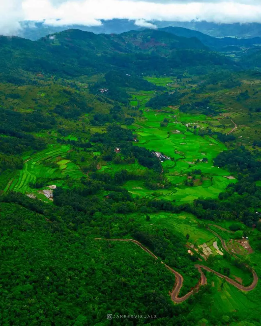 8 Scenic Forest Road Trips Near Mumbai, Bengaluru & Delhi That Feel Straight Out of a Dream