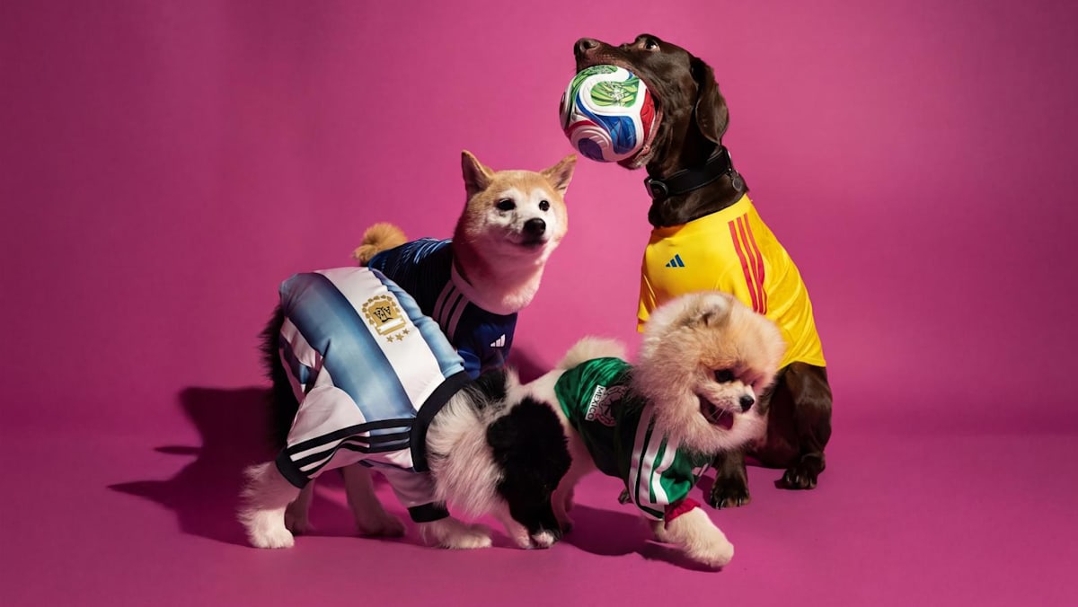 Adidas launches first pet collection in Singapore with mini football jerseys for furry fans