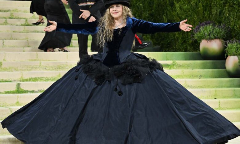 And Then Stevie Nicks Wore Zara-by-Galliano to Her First Met Gala – Go Fug Yourself