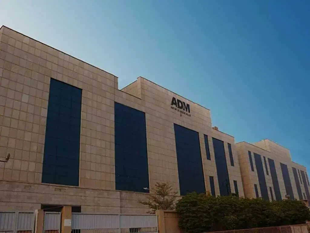 Artistic Denim Mills Limited: performance and outlook