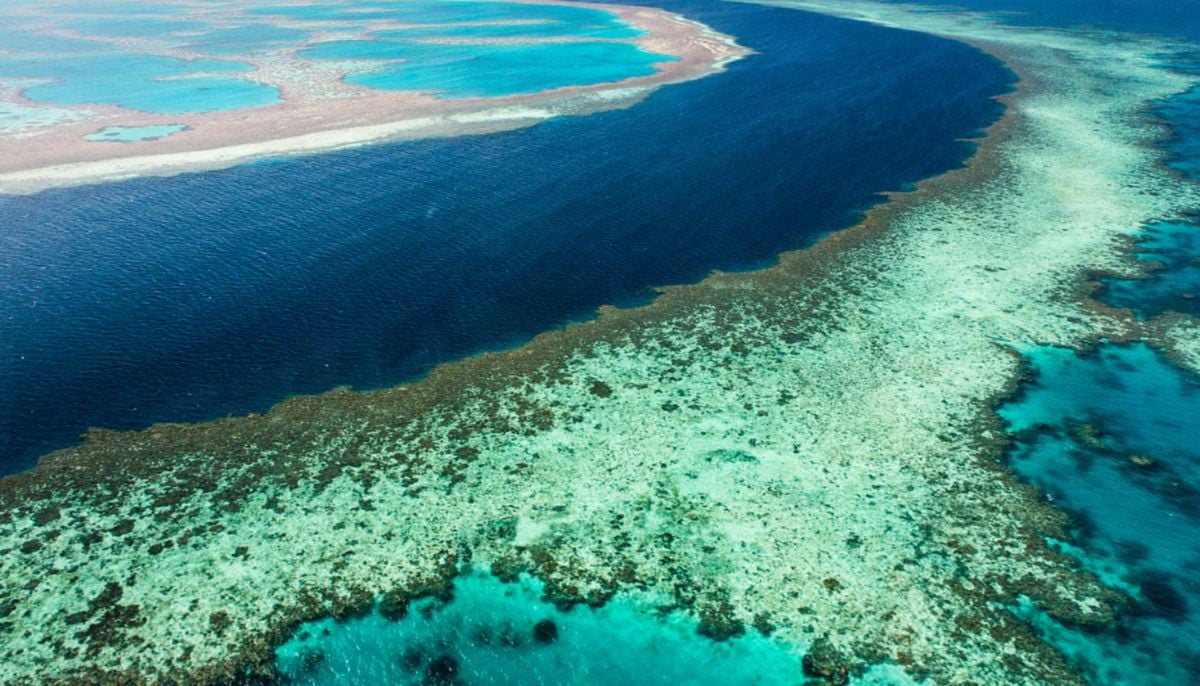 Australia: Man dies after shark attack in Queensland