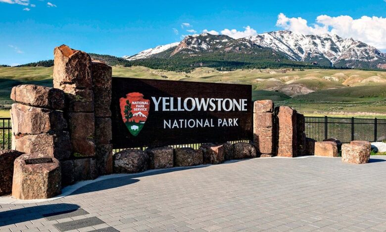 Bear attack in Yellowstone National Park leaves 2 hikers injured
