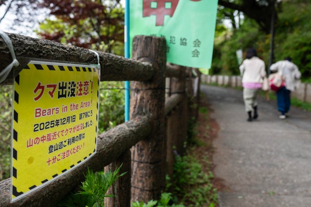 Bear kills woman in Japan, 2 more deadly attacks suspected