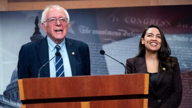 Bernie Sanders’ anti-Netflix crusade hits the skids after filings expose awkward twist