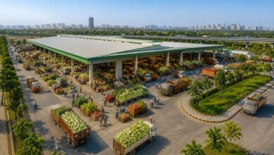 Cabinet Approves Integrated Vegetable Market at Aziz Nagar Near Hyderabad ORR | Telangana Tribune