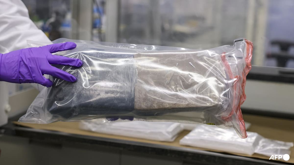 China restricts more drug precursor exports to US