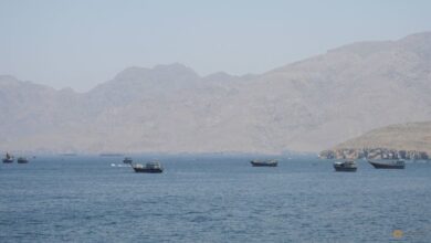 Chinese-owned oil tanker hit near Hormuz as US pauses ship-protection plan, report says