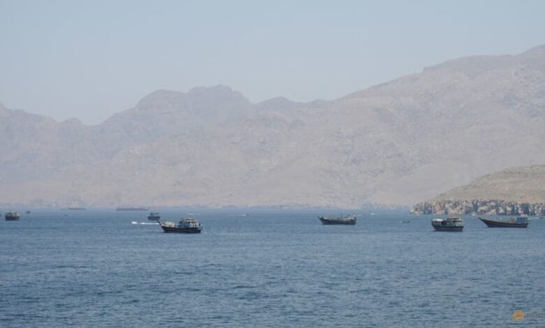 Chinese-owned oil tanker hit near Hormuz as US pauses ship-protection plan, report says