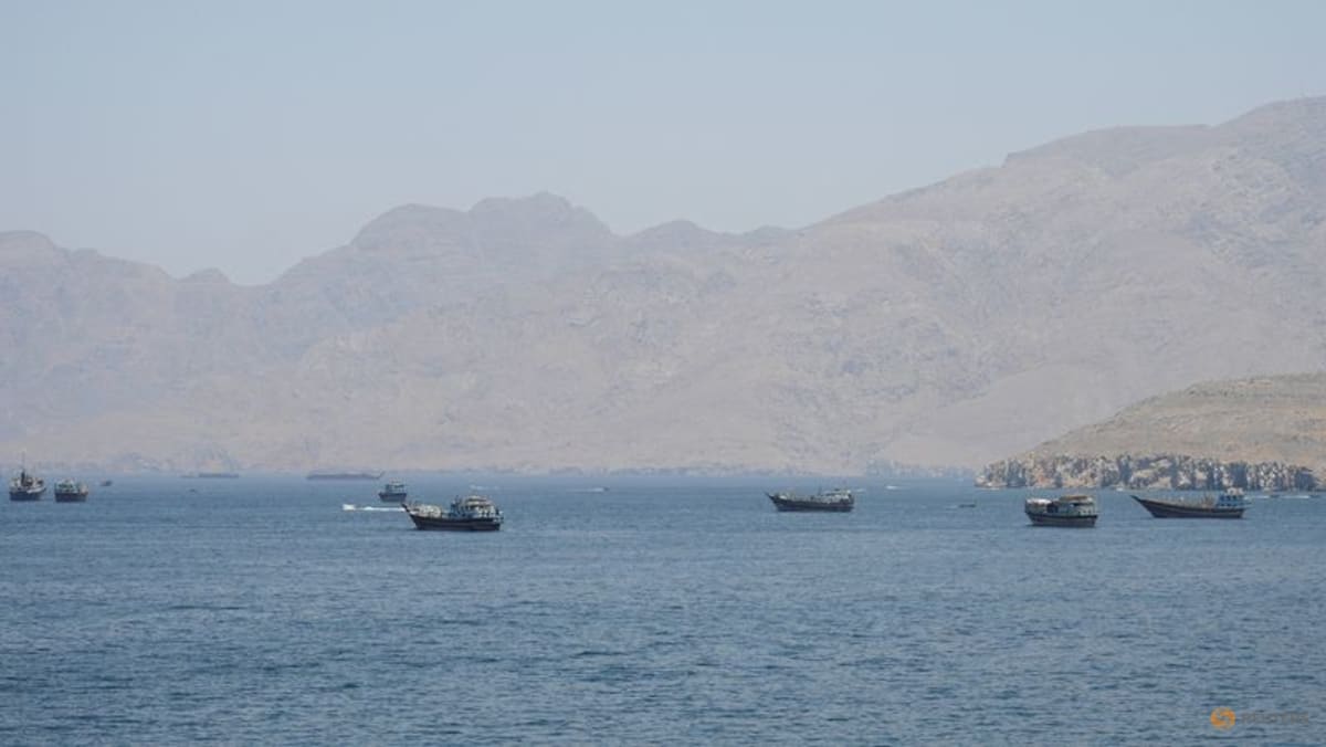 Chinese-owned oil tanker hit near Hormuz as US pauses ship-protection plan, report says