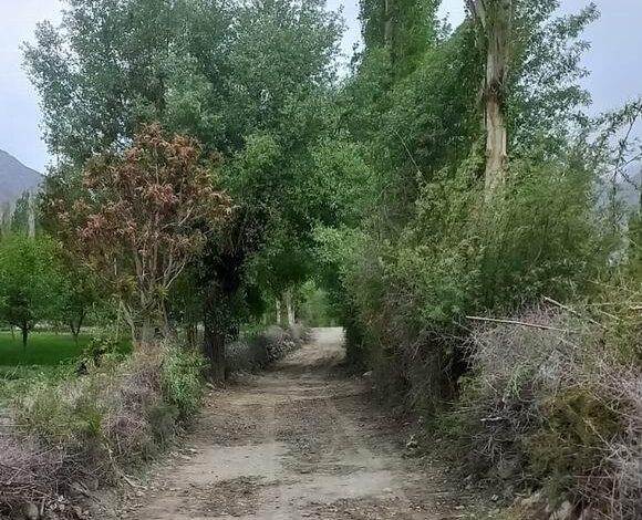 Chitral Times – پرنس رحیم آغاخان کی متوقع آمد؛ مستوج میں صفائی و خوبصورتی مہم جاری، بین المسالک ہم آہنگی کی عمدہ مثال