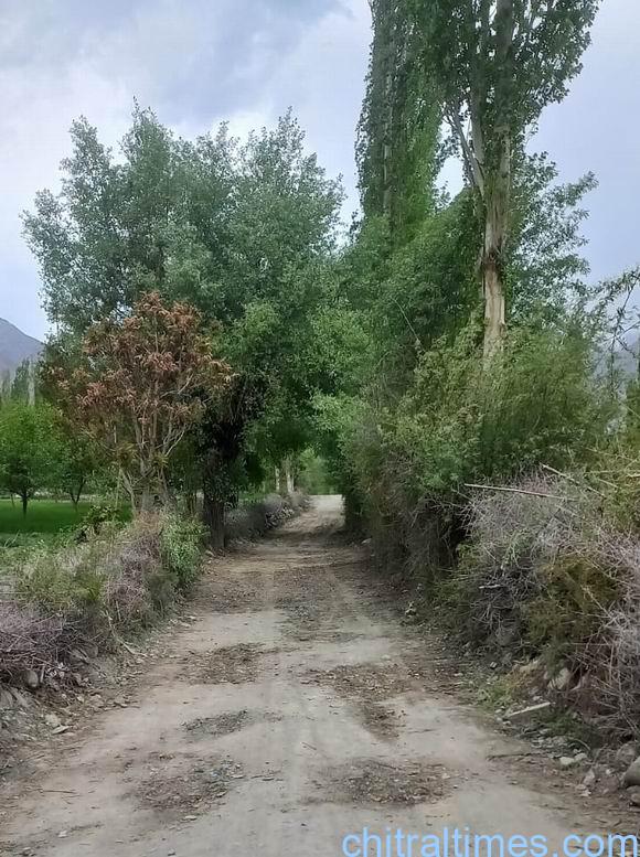 Chitral Times – پرنس رحیم آغاخان کی متوقع آمد؛ مستوج میں صفائی و خوبصورتی مہم جاری، بین المسالک ہم آہنگی کی عمدہ مثال