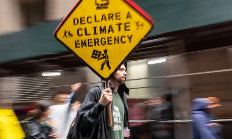 Climate seminars for judges face funding trail probe amid fears of outside influence on courts