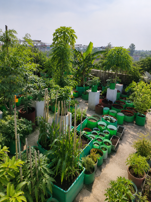 Could Roof Gardens Be a New Trend To Cut Electricity Bills in Unbearable Heat?