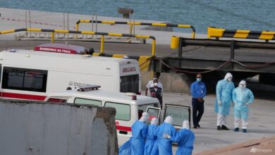 Countries track passengers of Hantavirus-hit cruise ship