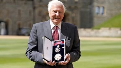 David Attenborough turns 100, ‘overwhelmed’ by birthday wishes | The Express Tribune