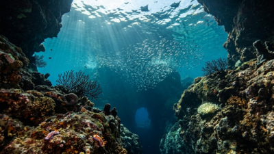 Deepest Ocean Trenches: The 5 deepest ocean trenches on Earth are ranked: Why one basin owns every single slot | World News – The Times of India