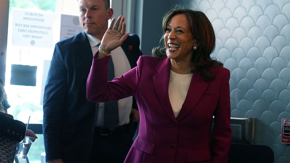 Democrats’ midterm push clouded by infighting over party keeping 2024 autopsy under wraps