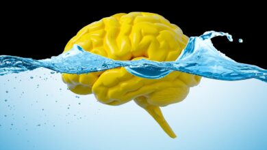 Dirty mind? Study suggests gut movement may flush excess material from our brains