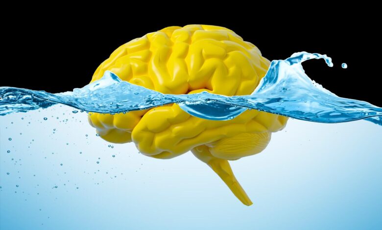 Dirty mind? Study suggests gut movement may flush excess material from our brains