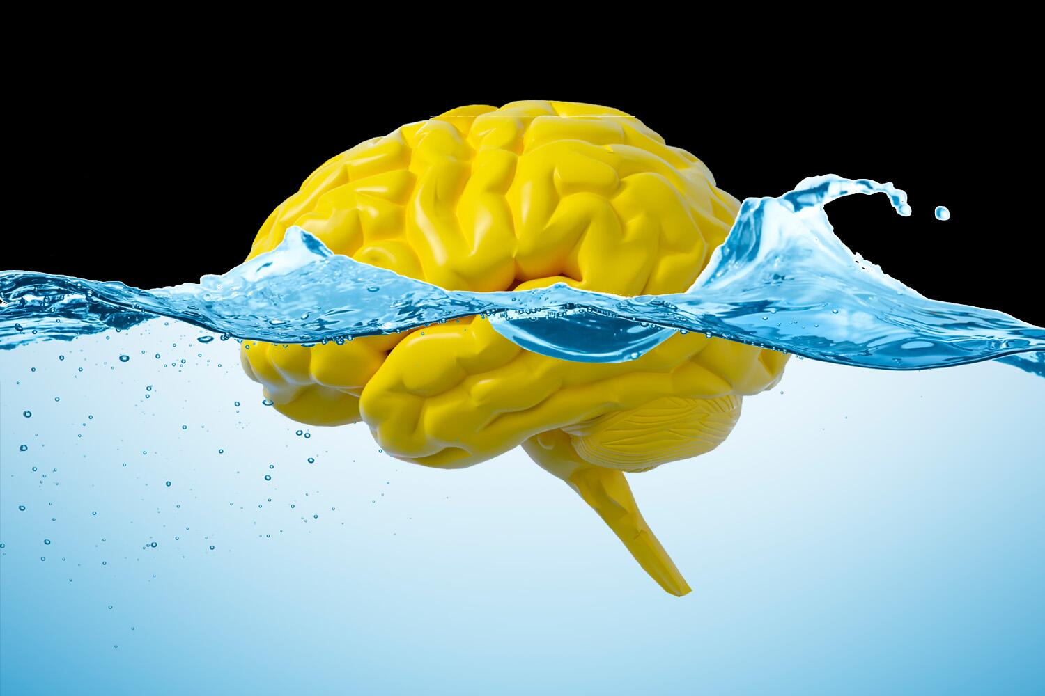 Dirty mind? Study suggests gut movement may flush excess material from our brains