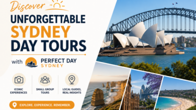 Discover Unforgettable Sydney Day Tours with Perfect Day Sydney – QuintDaily