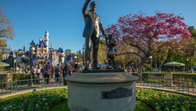 Disney fans may soon get to order Disney-themed license plates that help children’s hospitals