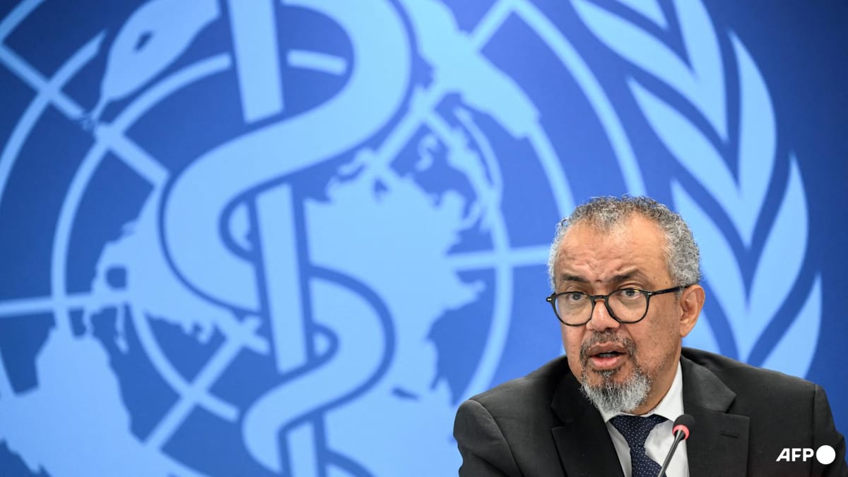 Ebola risk upgraded to ‘very high’ in DR Congo: WHO chief