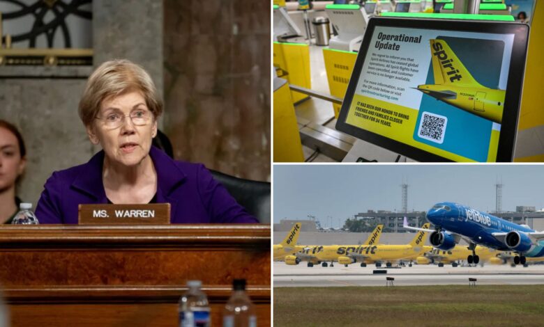 Elizabeth Warren blasted for cheering blocking of merger that might have saved Spirit Airlines