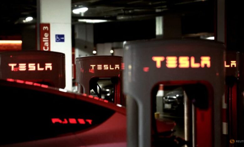 Exclusive-Tesla faces EU skepticism over automated-driving tech, records show