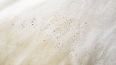 Expert shares red flag bed bug signs you should never ignore