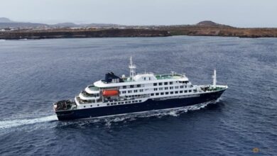 Five cases from cruise ship confirmed as hantavirus, three suspected: WHO