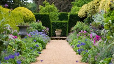 Former Royal Gardener shares the secret to having a garden just like the royals