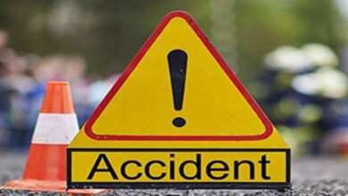 Four Teachers Die as Tree Falls on Moving Vehicle in Ani