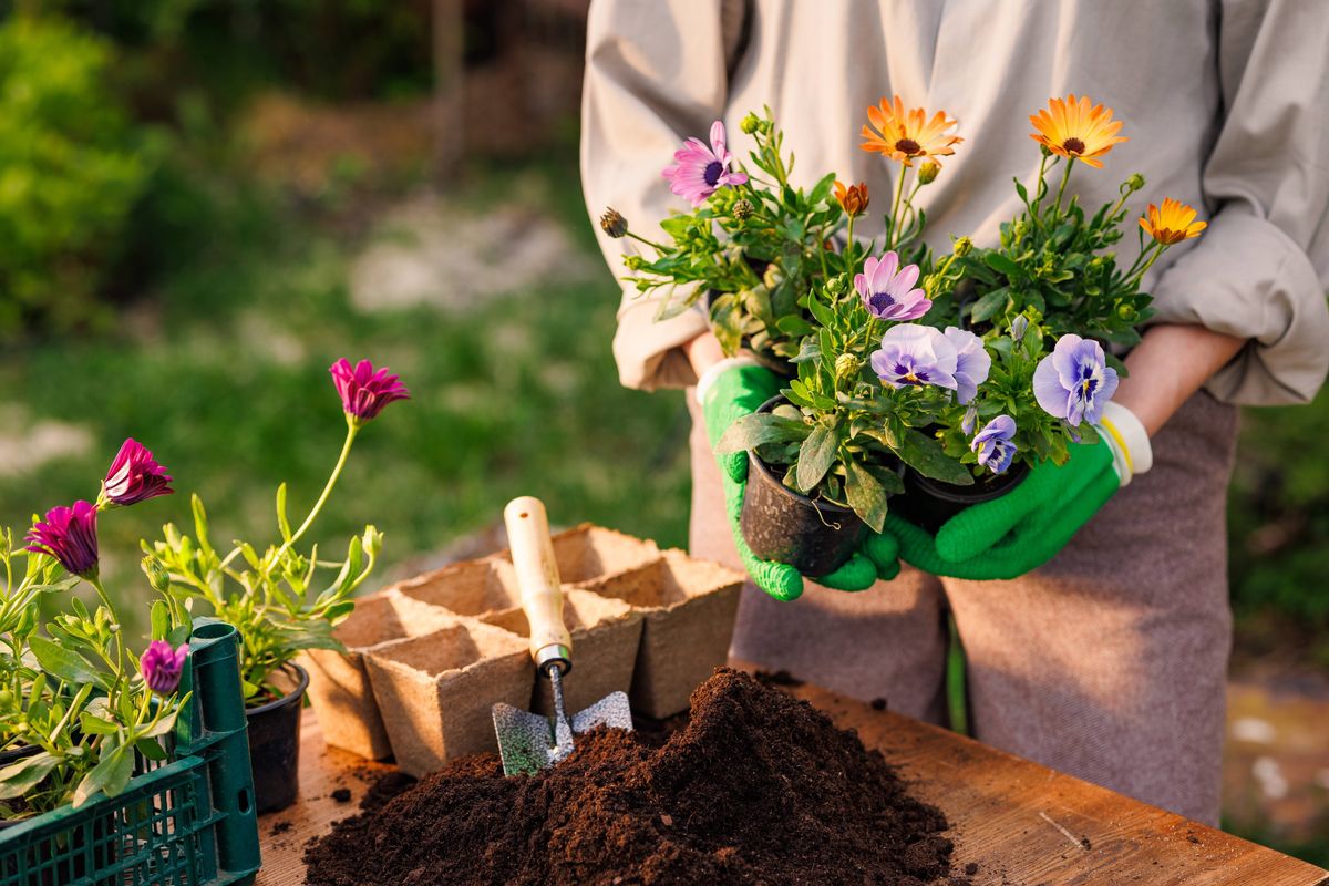 Gardeners told to ‘hold off’ as common mistake could be killing their plants