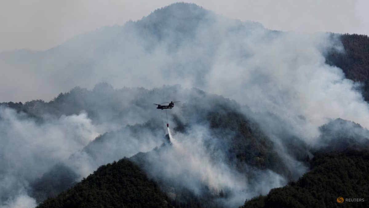Global fire outbreaks hit record high as ‘unprecedented’ heat extremes loom, scientists say