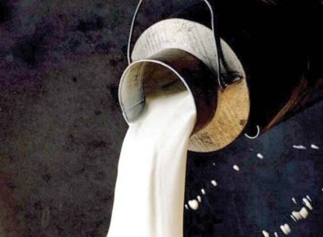 Govt urged to slash milk taxes to boost formal sector revenue