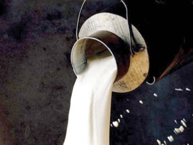 Govt urged to slash milk taxes to boost formal sector revenue