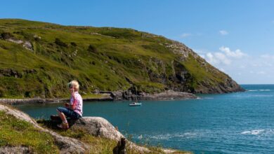 HSE issues important warning to people to watch out for ticks when outdoors
