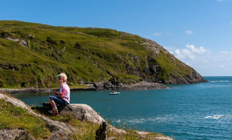 HSE issues important warning to people to watch out for ticks when outdoors