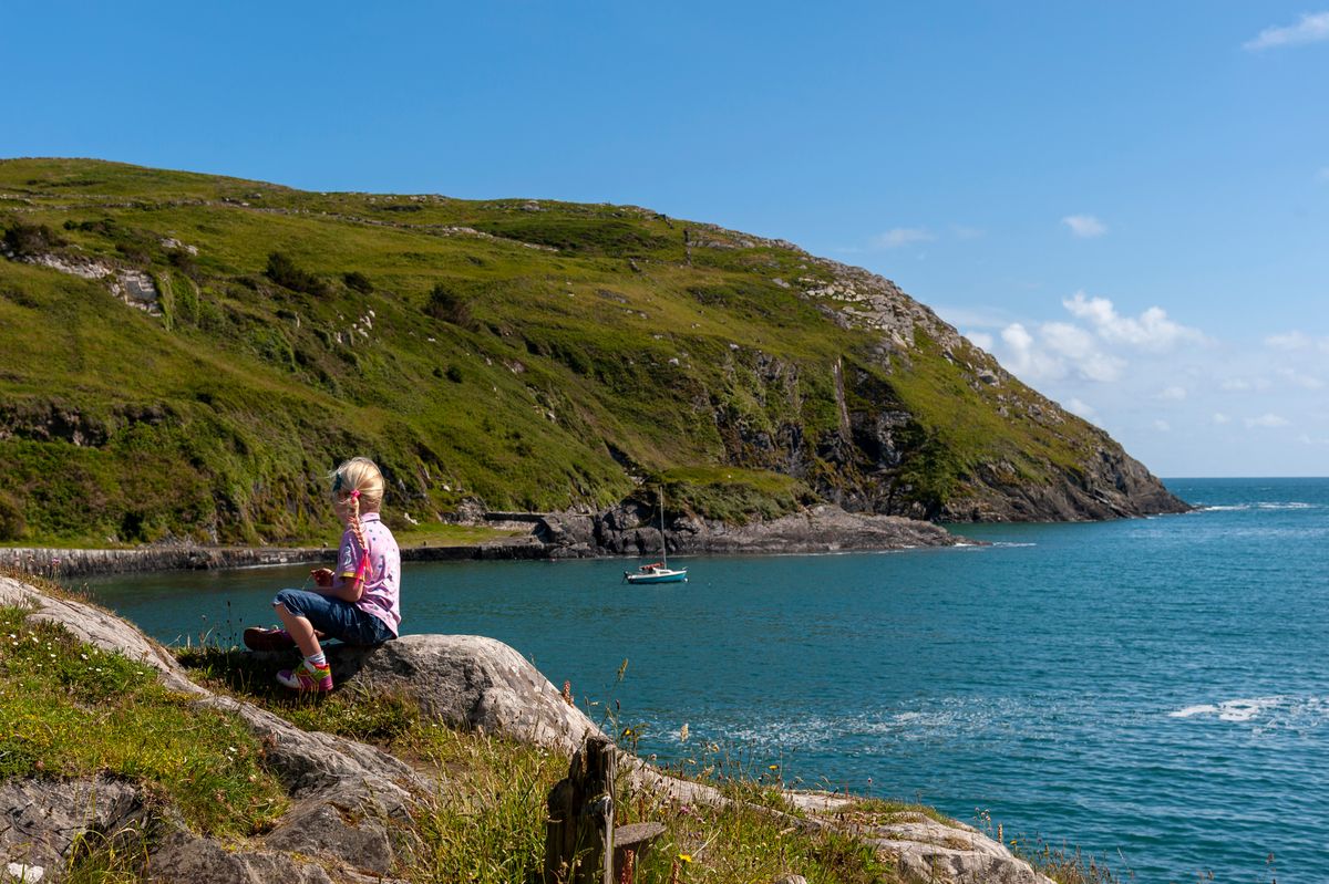HSE issues important warning to people to watch out for ticks when outdoors