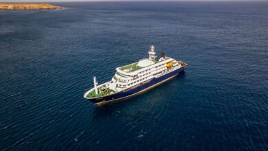 Hantavirus cruise outbreak cases rise, with three dead, as Irish nationals trapped on board