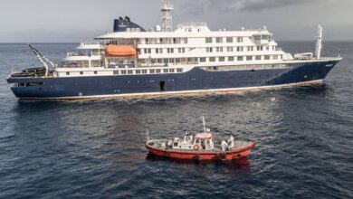 Hantavirus outbreak spreads beyond cruise ship as passenger infected on flight