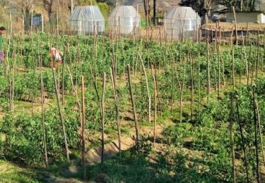Himachal Expands Natural Farming Push, Sets Procurement Target for 63,000 Farmers