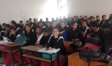 Himachal Govt Schools Shine in Class 12 Results, Dominate Merit List
